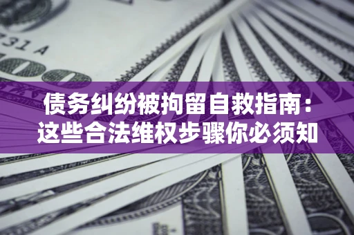 济南债务纠纷被拘留自救指南：这些合法维权步骤你必须知道！