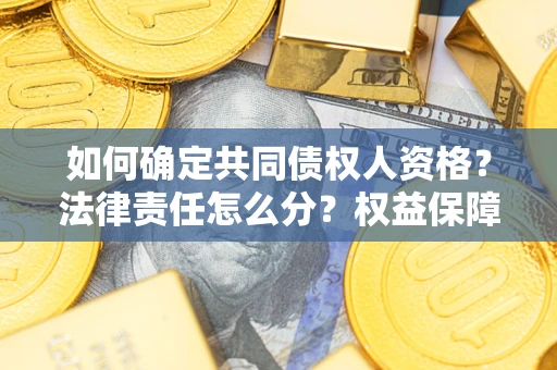 济南如何确定共同债权人资格？法律责任怎么分？权益保障技巧揭秘！