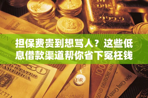 济南担保费贵到想骂人？这些低息借款渠道帮你省下冤枉钱