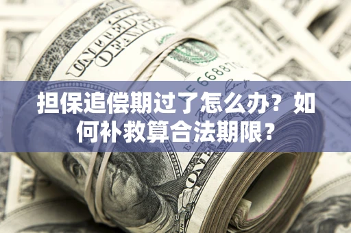 济南担保追偿期过了怎么办？如何补救算合法期限？
