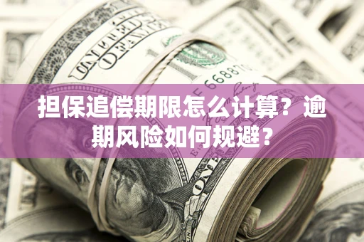 济南担保追偿期限怎么计算？逾期风险如何规避？