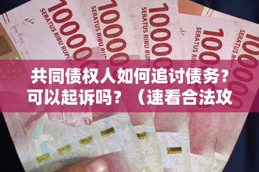 济南共同债权人如何追讨债务？可以起诉吗？（速看合法攻略）